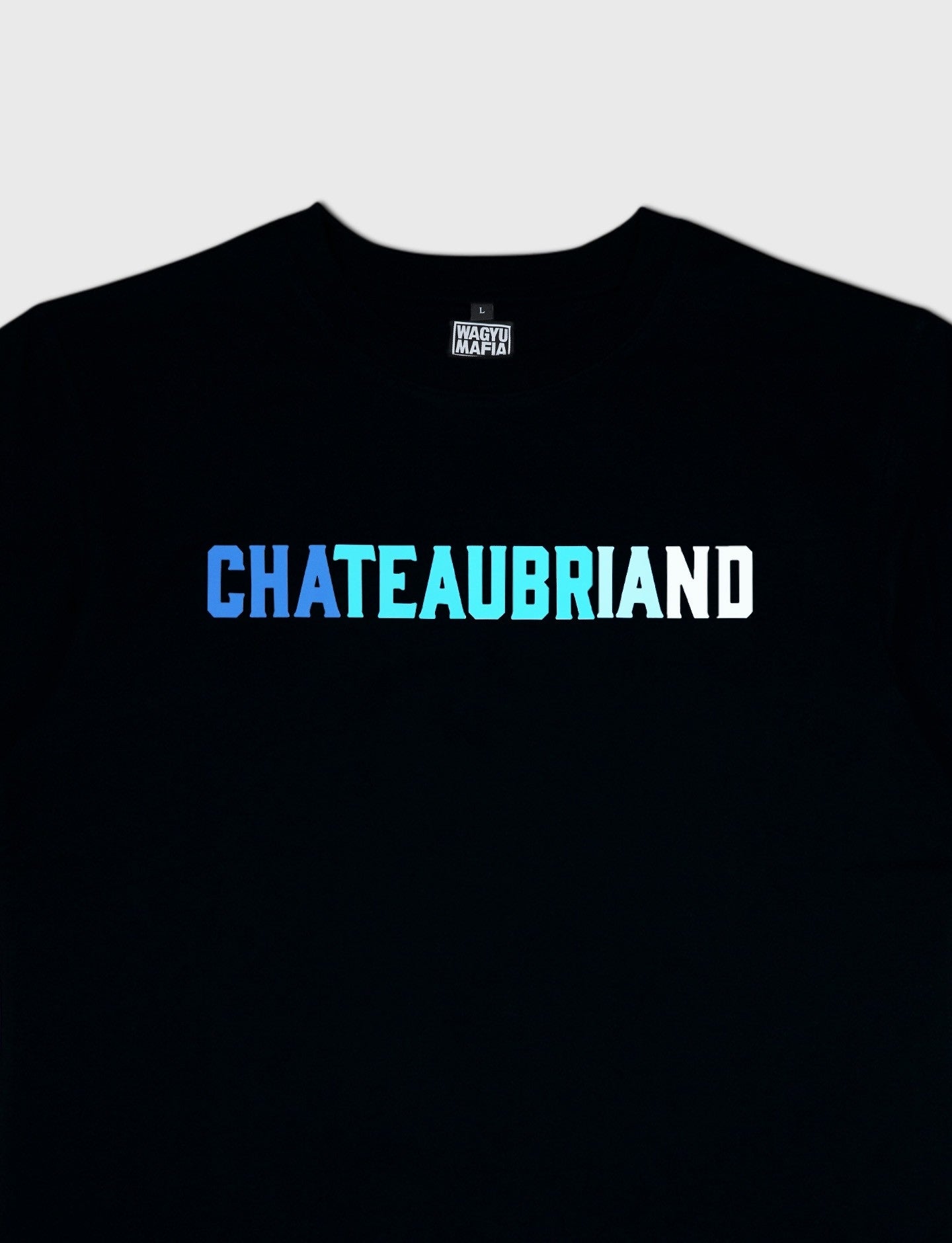 GRADATION CHATEAUBRIAND T SHIRT